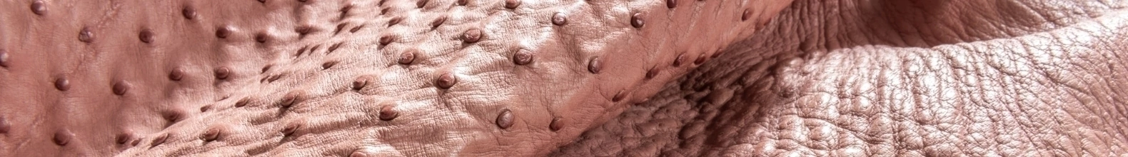 Banner da categoria Couros