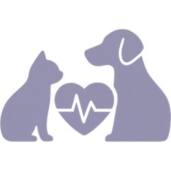 URL_IMAGEN_CARDIOLOGIA