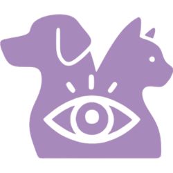 URL_IMAGEN_OFTALMOLOGIA