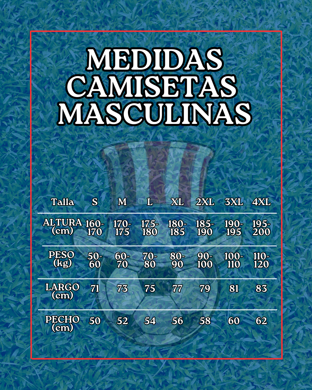 camisetas masculinas (fan)