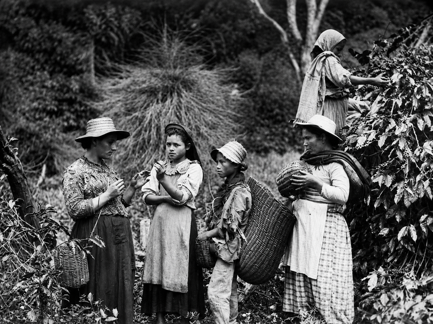 Juan Valdez - historia del café colombiano