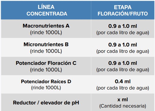 ETAPA FLORACIÓN Y FRUTO