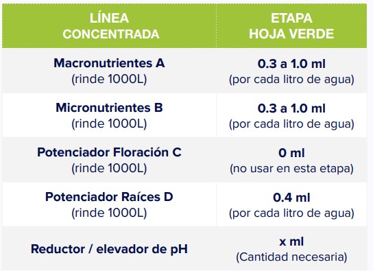 ETAPA CRECIMIENTO HOJA VERDE