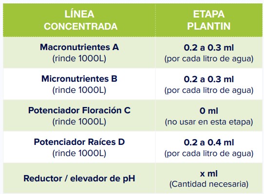 ETAPA DE PLANTIN