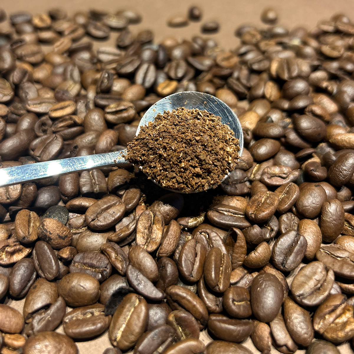 Granos de café Don Manuel