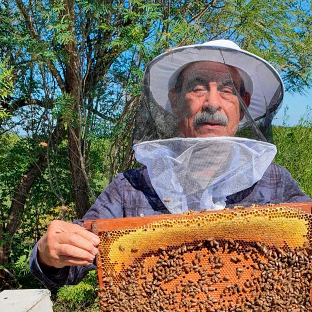 Ingeniero Manuel Gomar