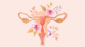 Sanación de útero y linaje ancestral