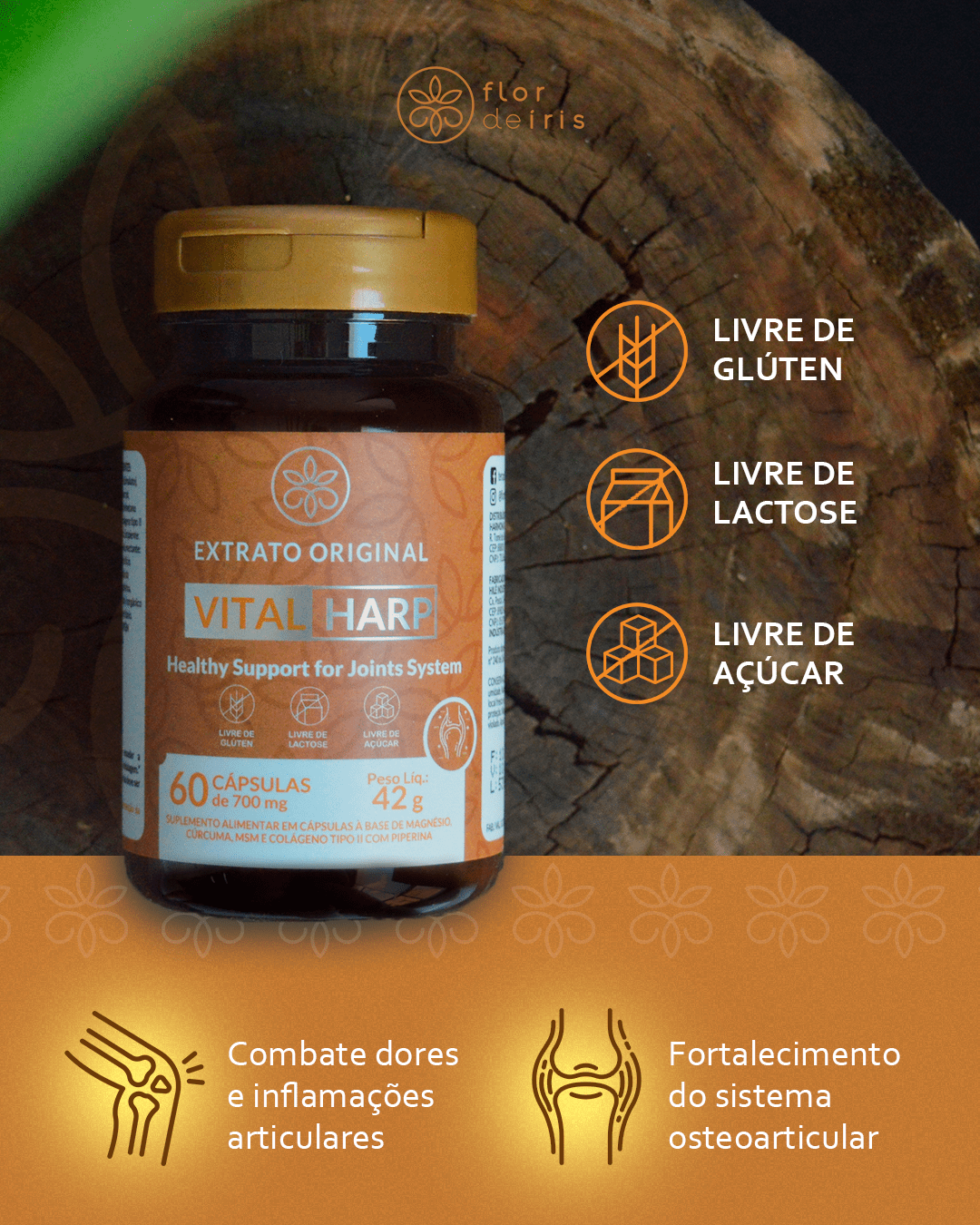 selos vital harp