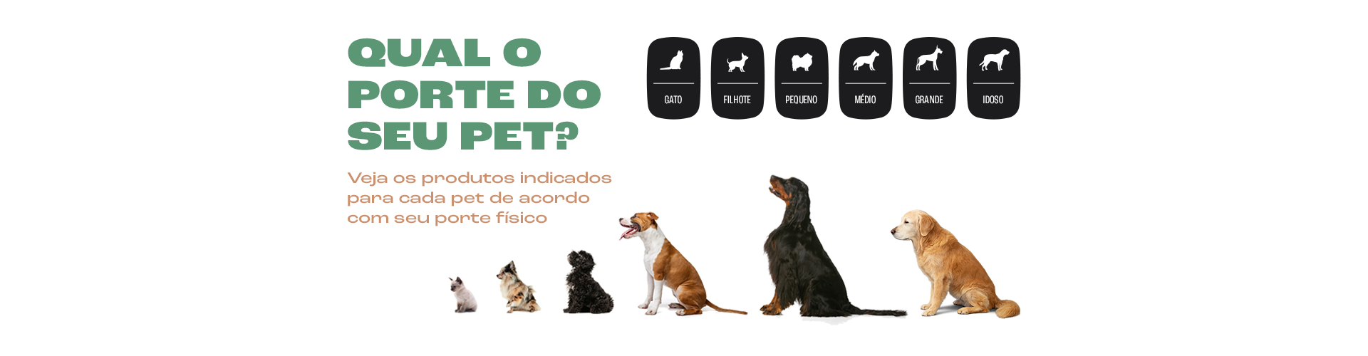 Banner de Luv Petiscos Naturais