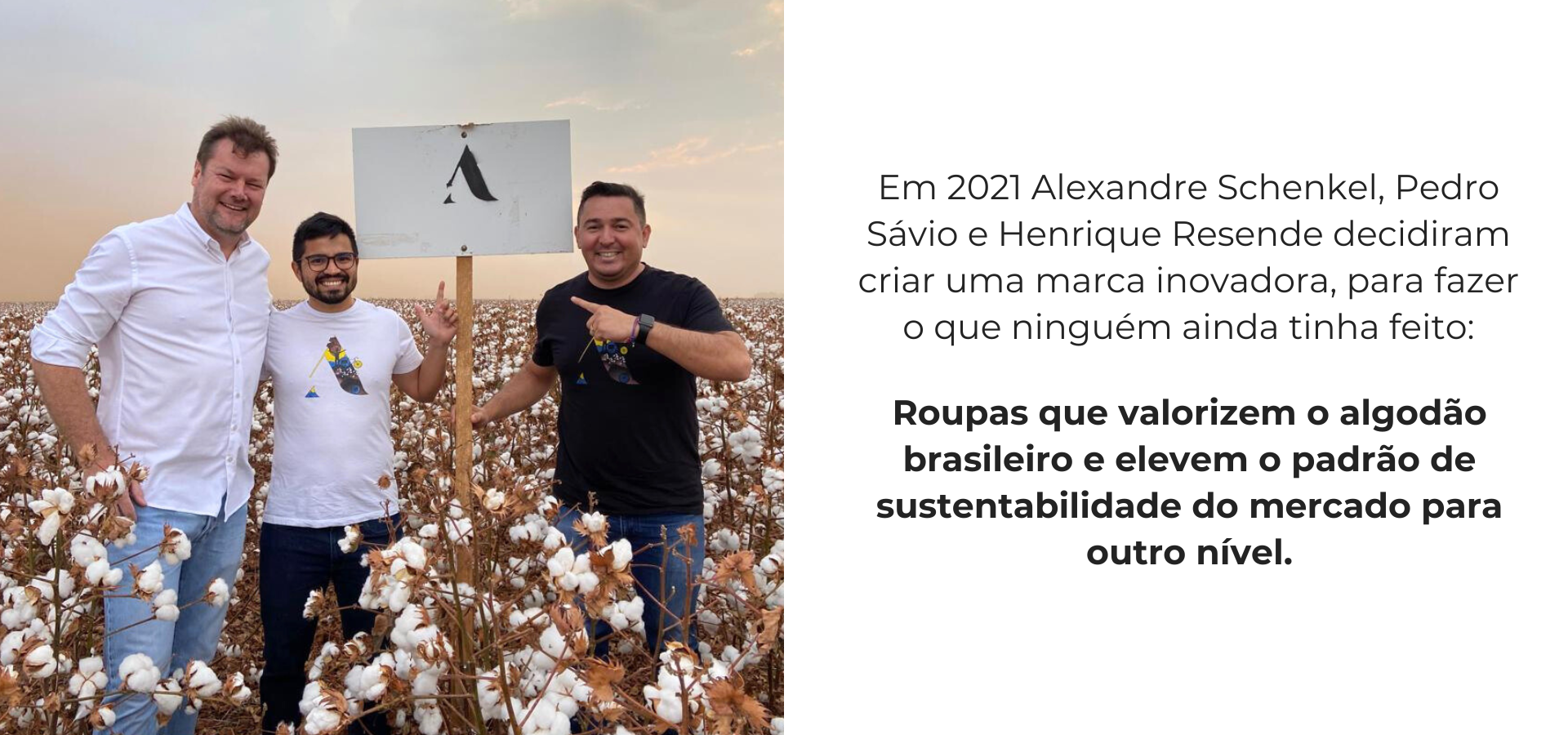 Conheça a Alamgrino - Camisetas básicas de alta qualidade com inovação e sustentabilidade 1