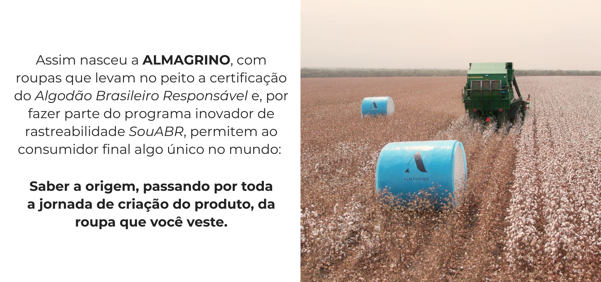 Conheça a Almagrino - Camisetas básicas de alta qualidade com inovação e sustentabilidade 2