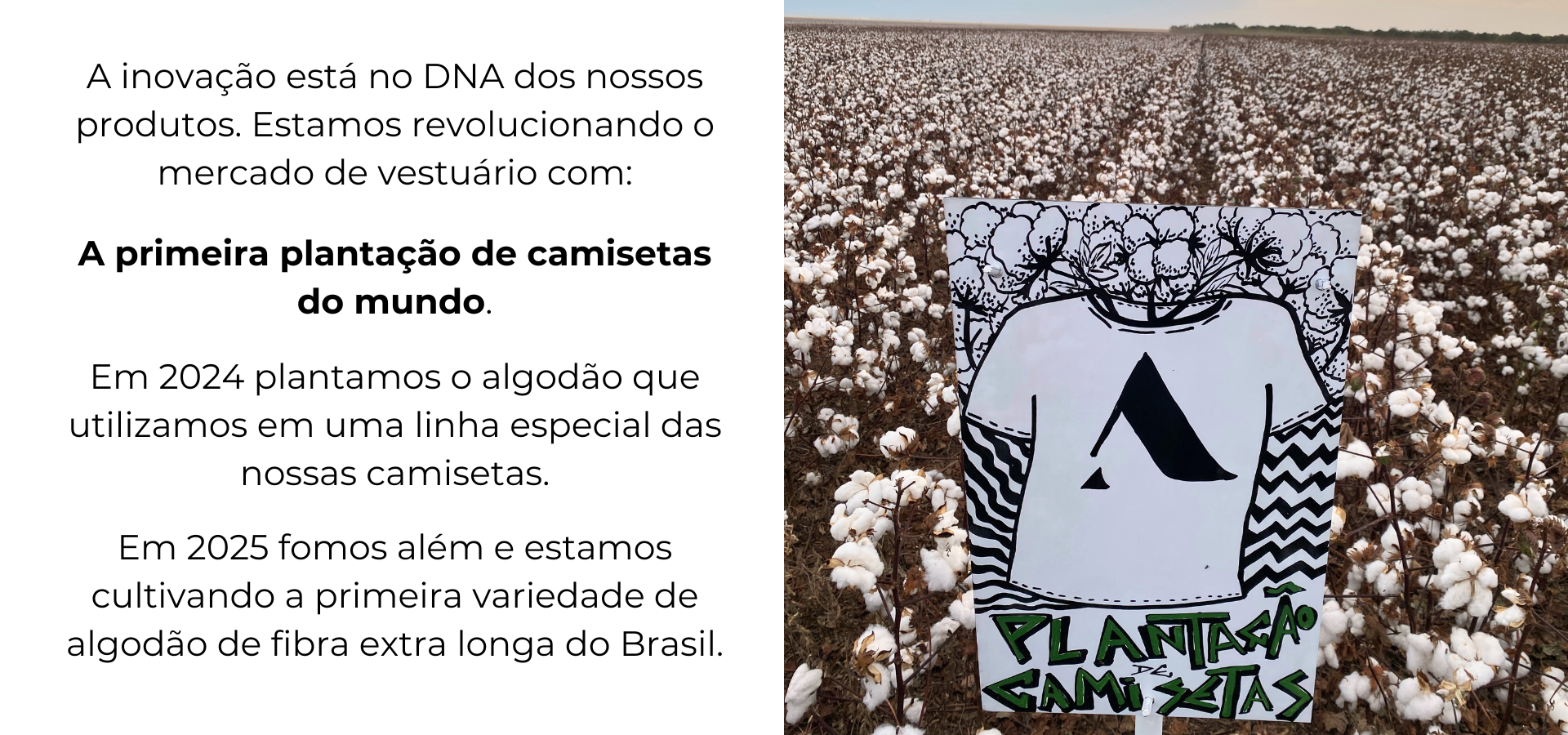 Conheça a Almagrino - Camisetas básicas com algodão brasileiro responsável