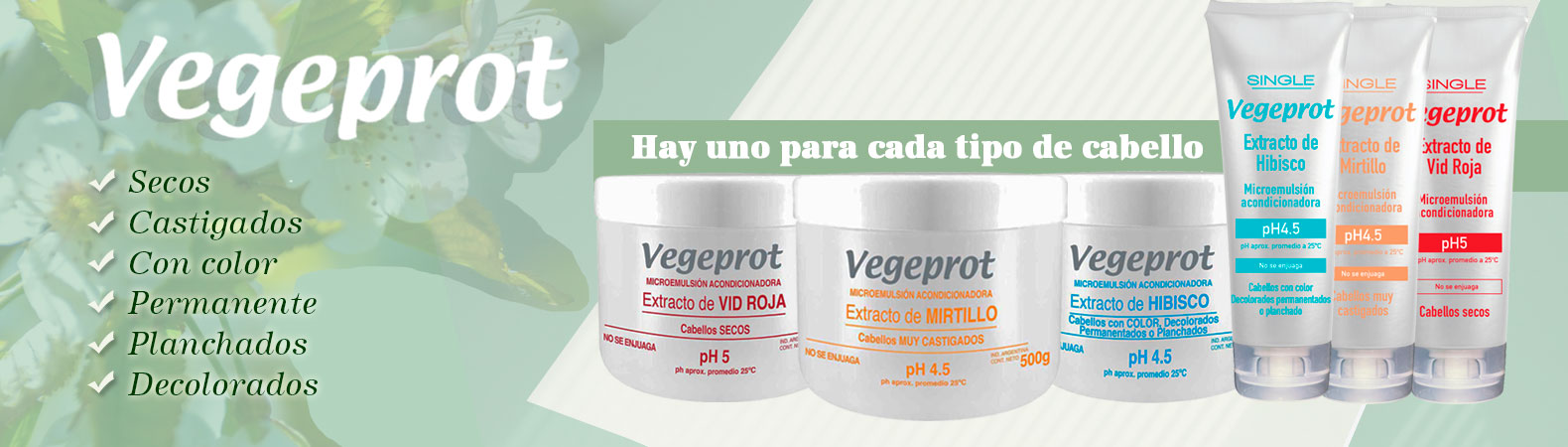 Vegeprot hidrogel microemulsión acondicionadora