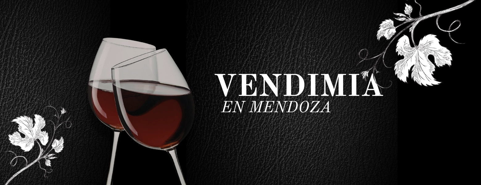 Banner de la categoría Vendimia en Mendoza
