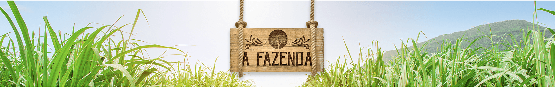 Poço da Pedra - A Fazenda - Cabeçalho