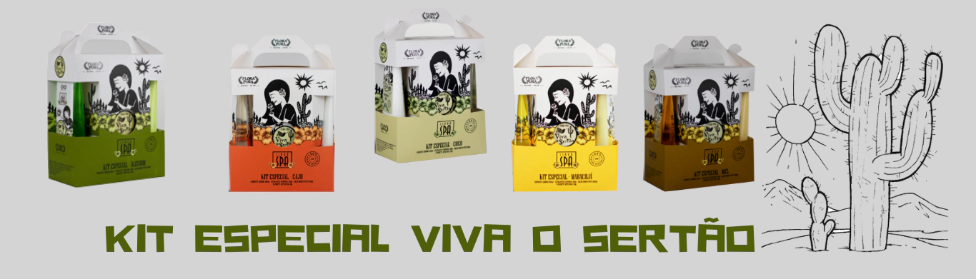 Banner da categoria Kit Especial Viva o Sertão