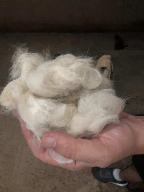 Foto del producto de Juan Pérez