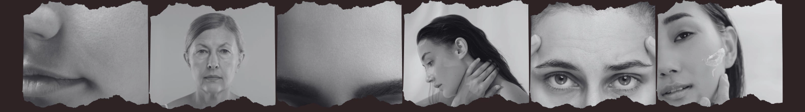 Banner de la categoría Piel normal / Mixta