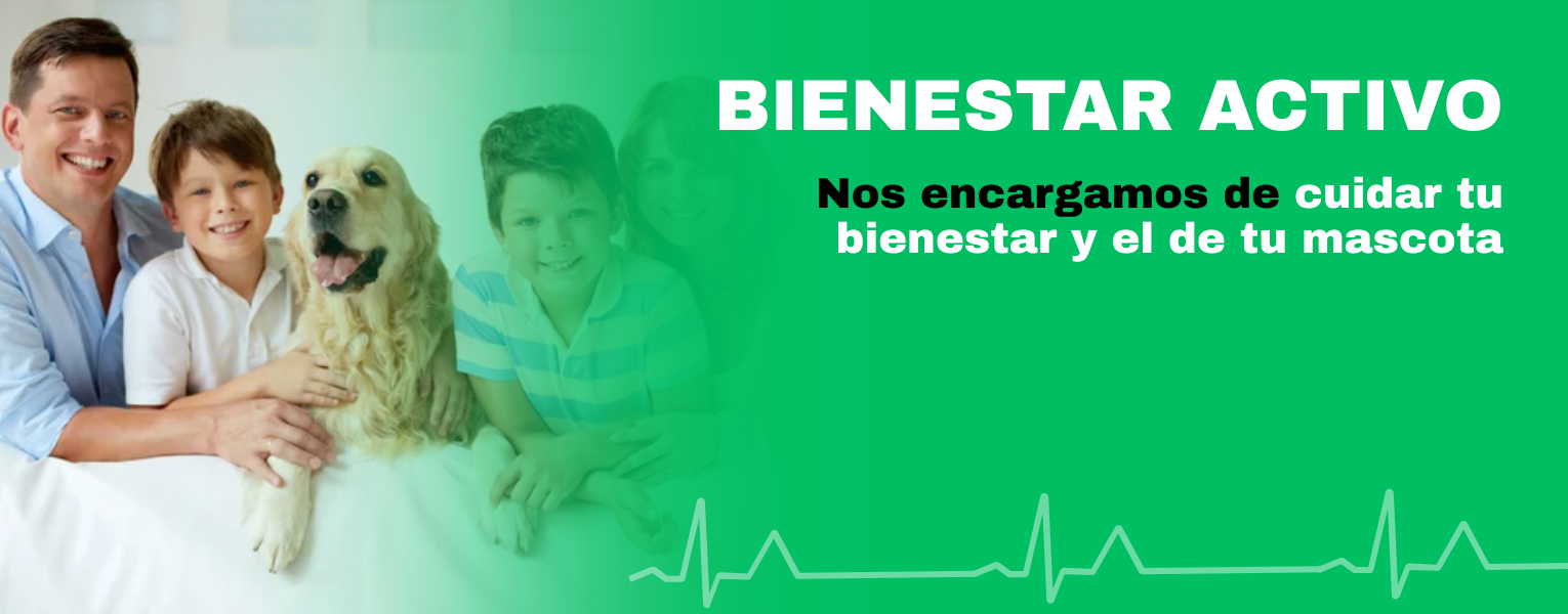 Características Seca Pichi