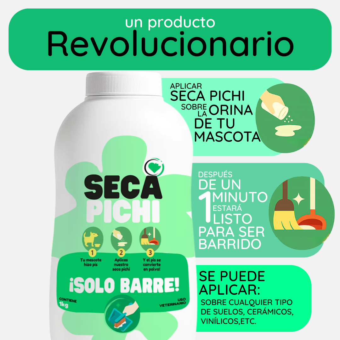 Limpieza con Seca Pichi