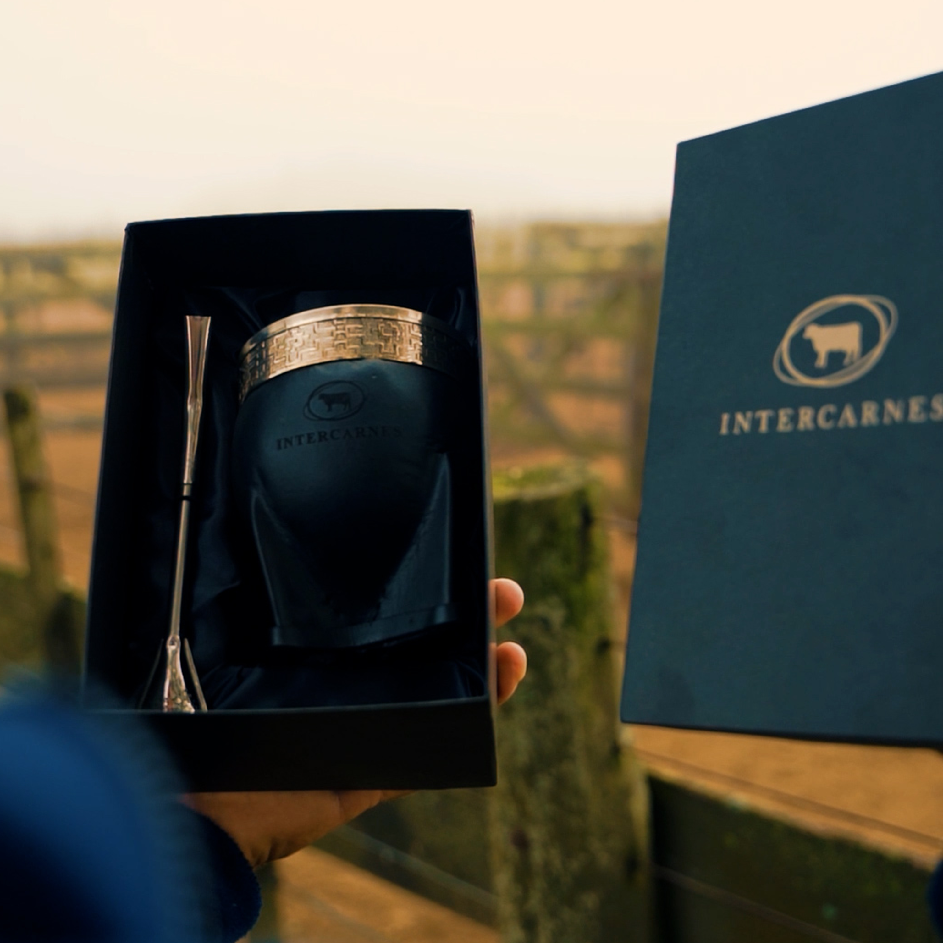 Intercarnes 1