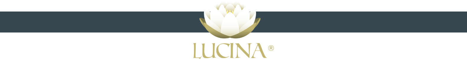 LOGO LUCINA