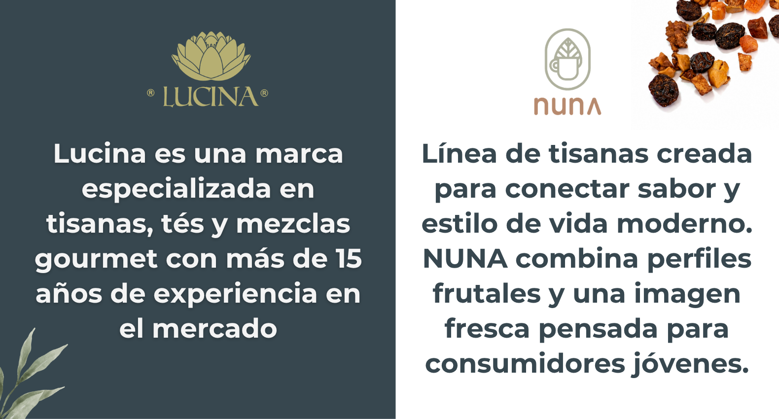 Quienes somos lucina