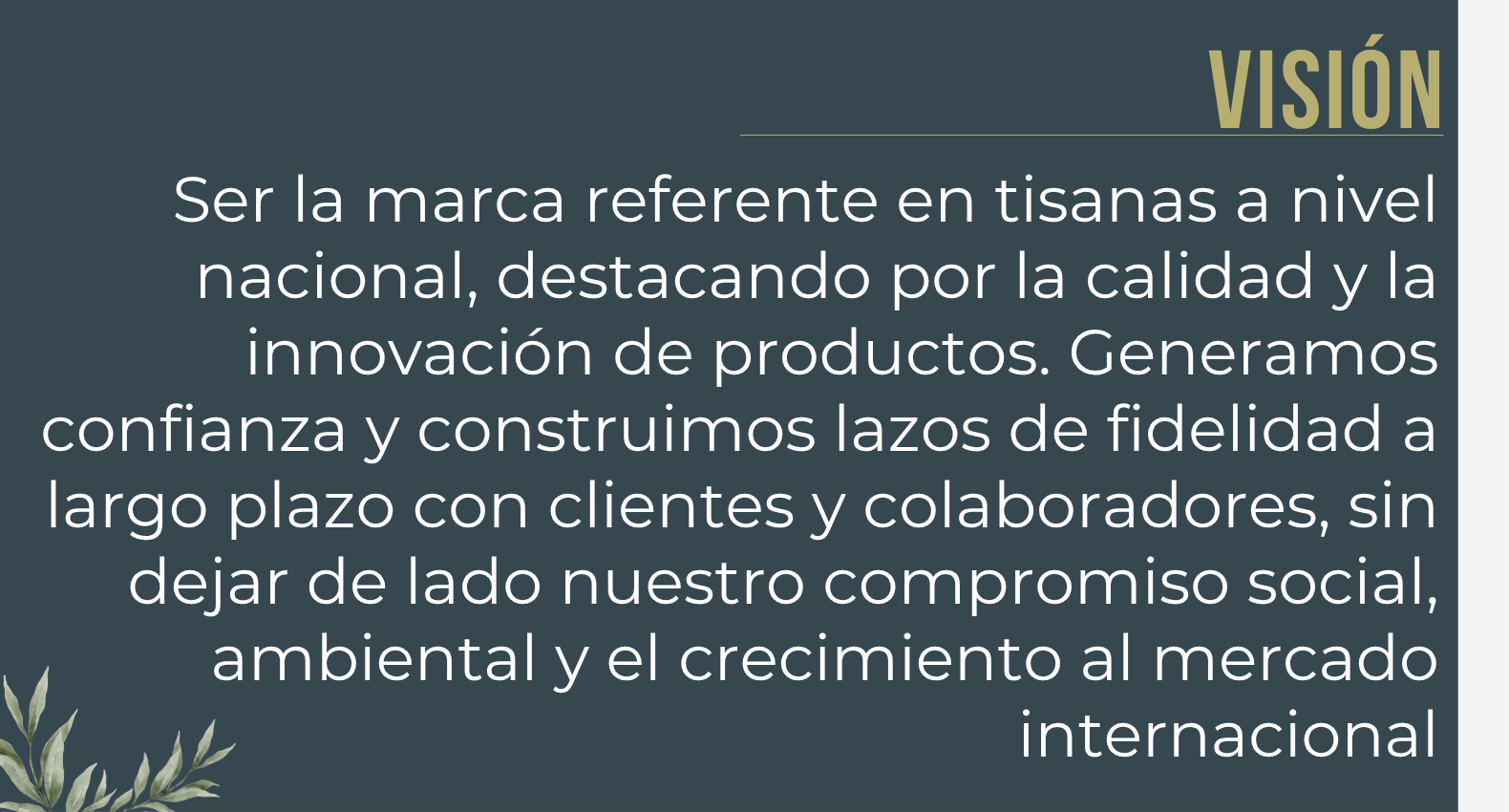 Ser la marca referente en tisanas a nivel nacional, destacando por la calidad y la innovación de productos. Generamos confianza y construimos lazos de fidelidad a largo plazo con clientes y colaboradores, sin dejar de lado nuestro compromiso social, ambiental y el crecimiento al mercado internacional