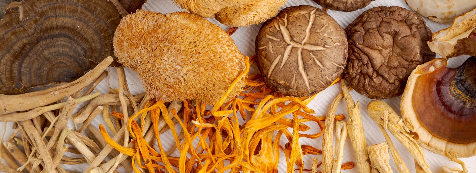Íconos vegano, natural, no testeado