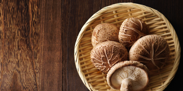 Tintura madre Shiitake