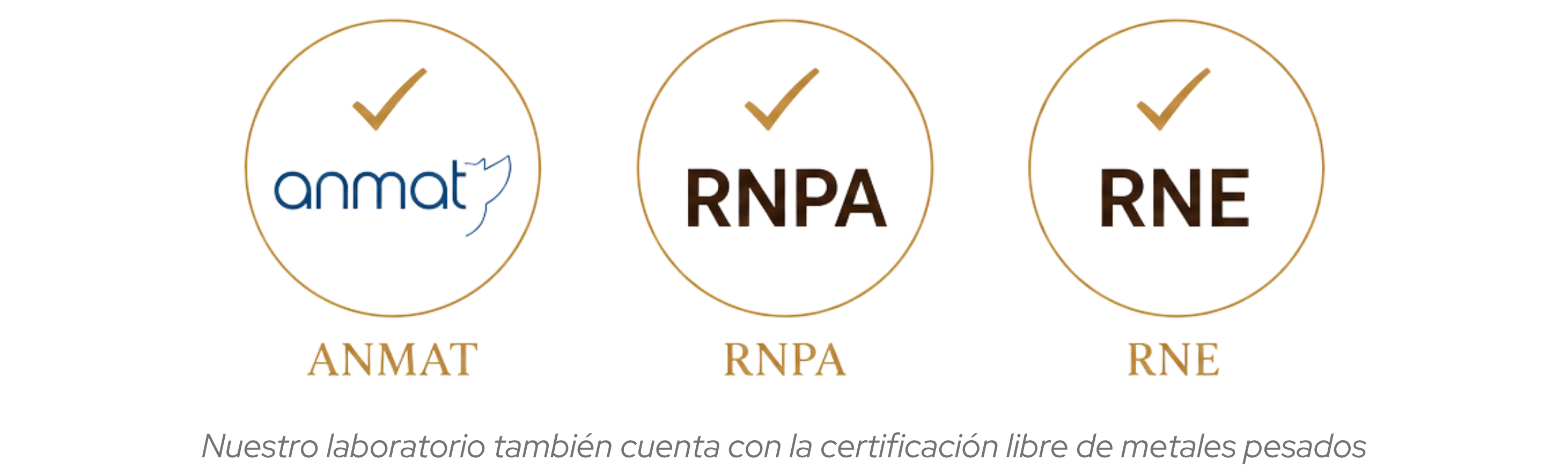 Industria Argentina