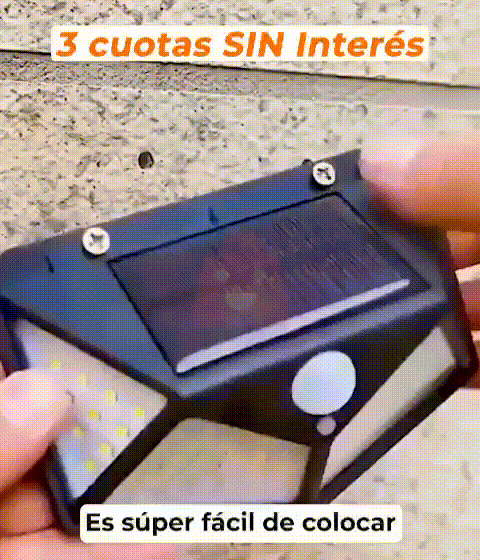 IMAGEN 1