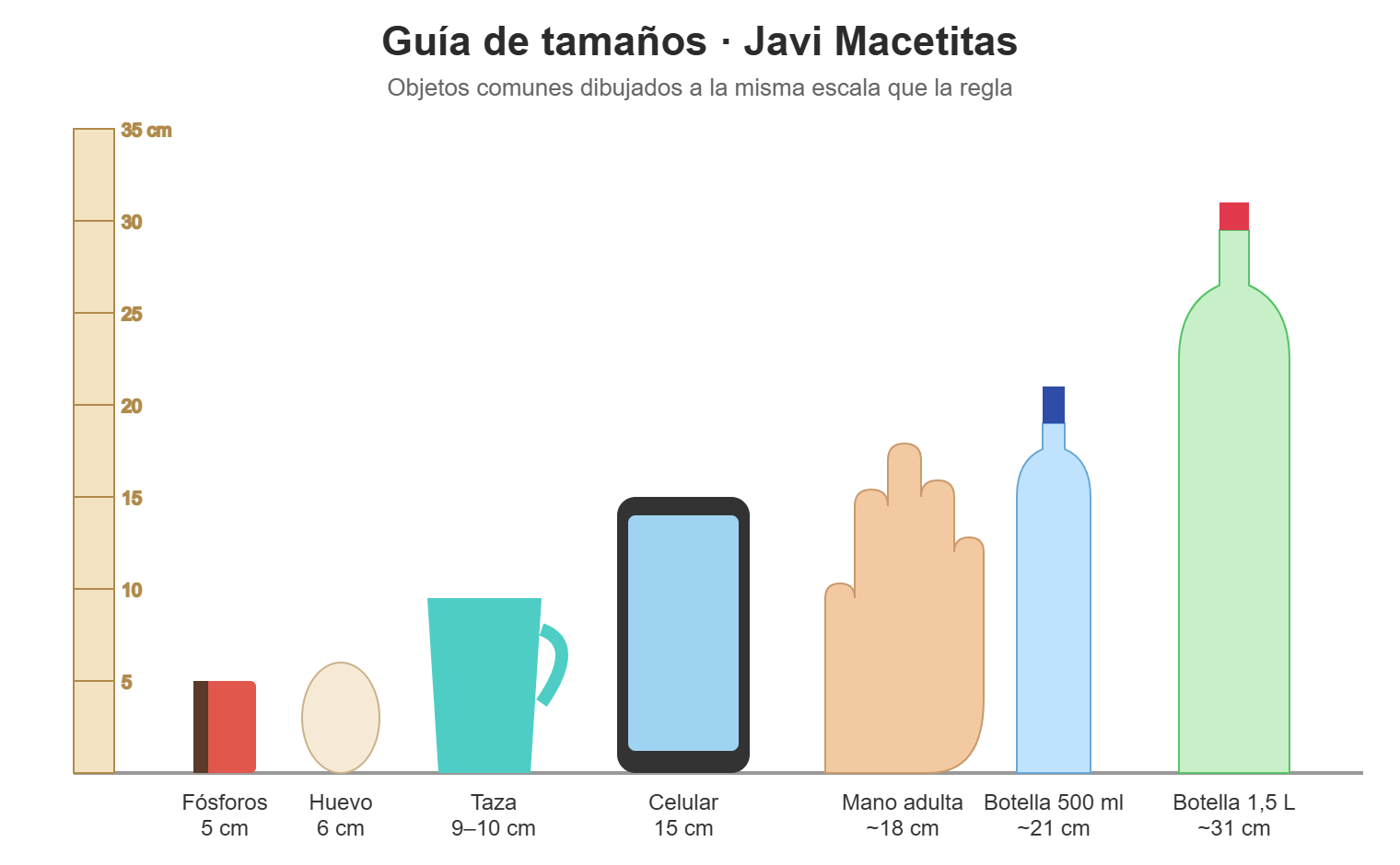 Guía de tamaños: regla con fósforos 5 cm, huevo 6 cm, taza 9-10 cm, celular 15 cm, mano 18 cm, botella 500 ml 21 cm, botella 1,5 L 31 cm