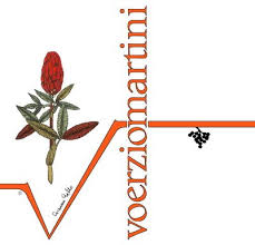 Voerzio Martini | VignaVita