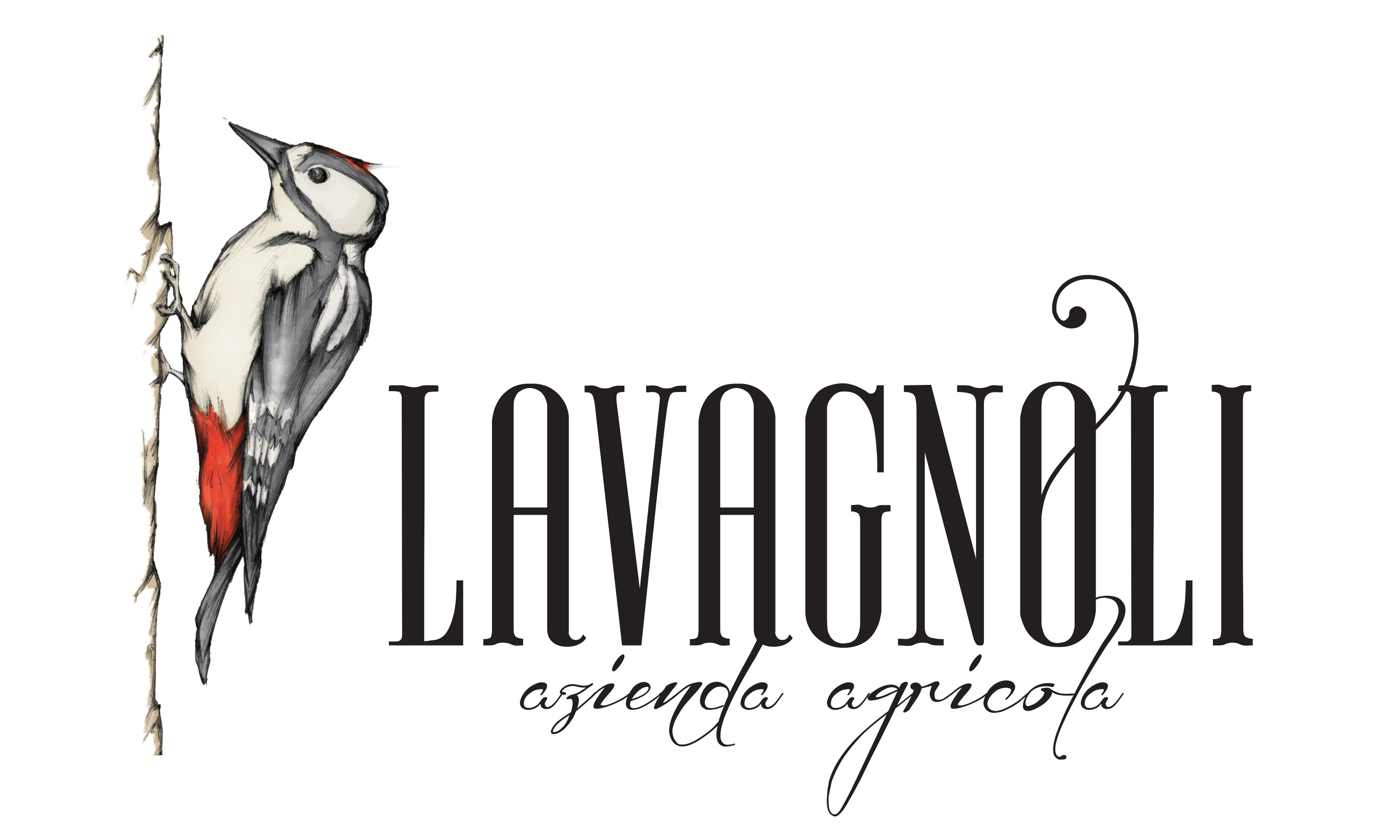 Lavagnoli | VignaVita