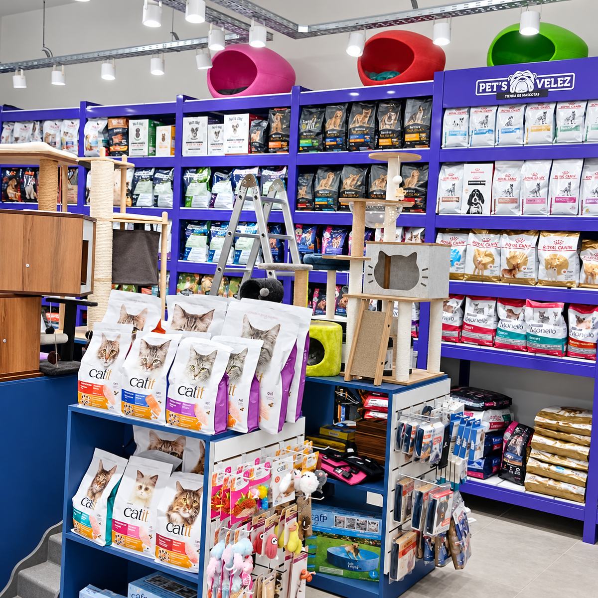 Sector de gatos y alimentos del local Quilmes