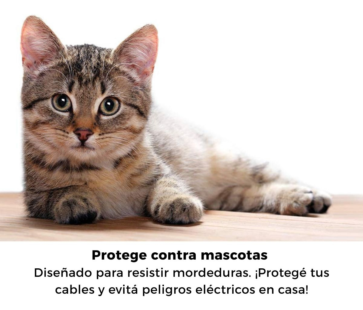 Organizador de neoprene resistente a mordeduras de mascotas que protege cables el&eacute;ctricos y previene peligros en el hogar con perros y gatos