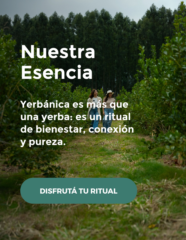 Banner móvil