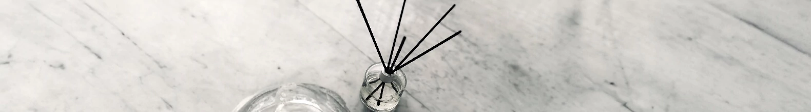 Banner da categoria Difusor de Aroma