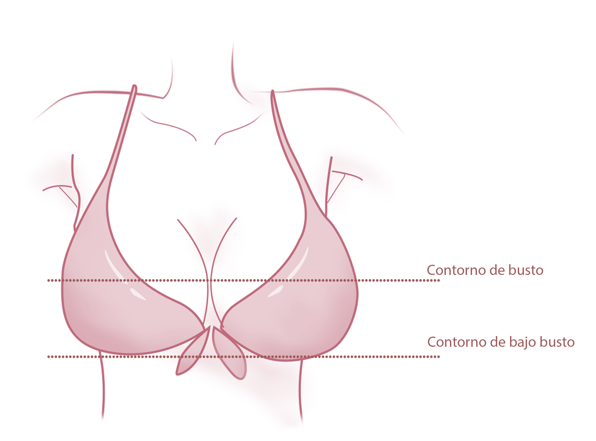 Medir corpiño