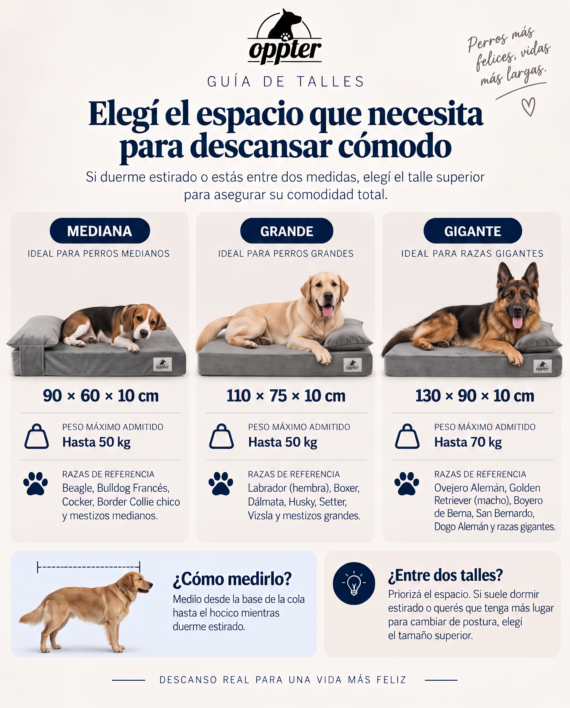 Guía de talles Oppter