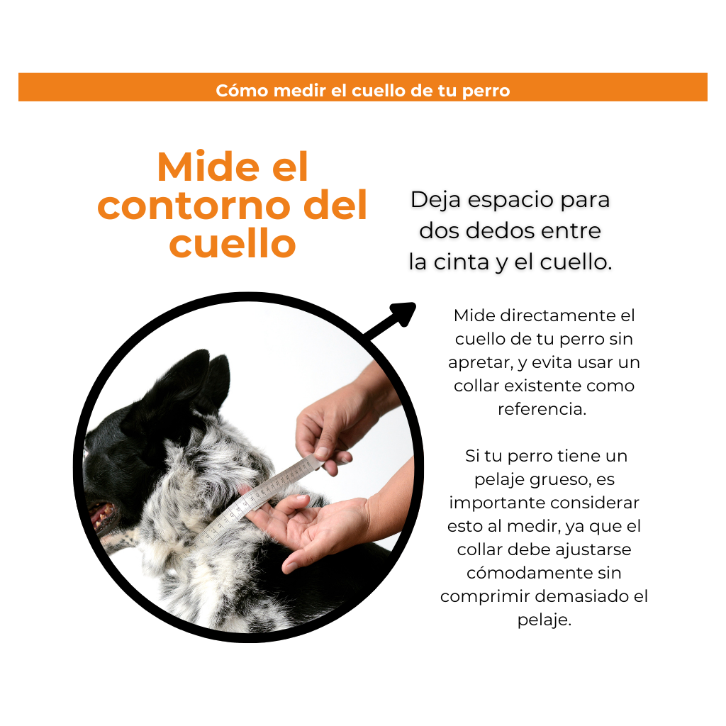 MEDIDAS