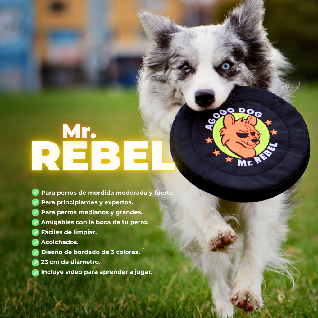 frisbee mr rebel