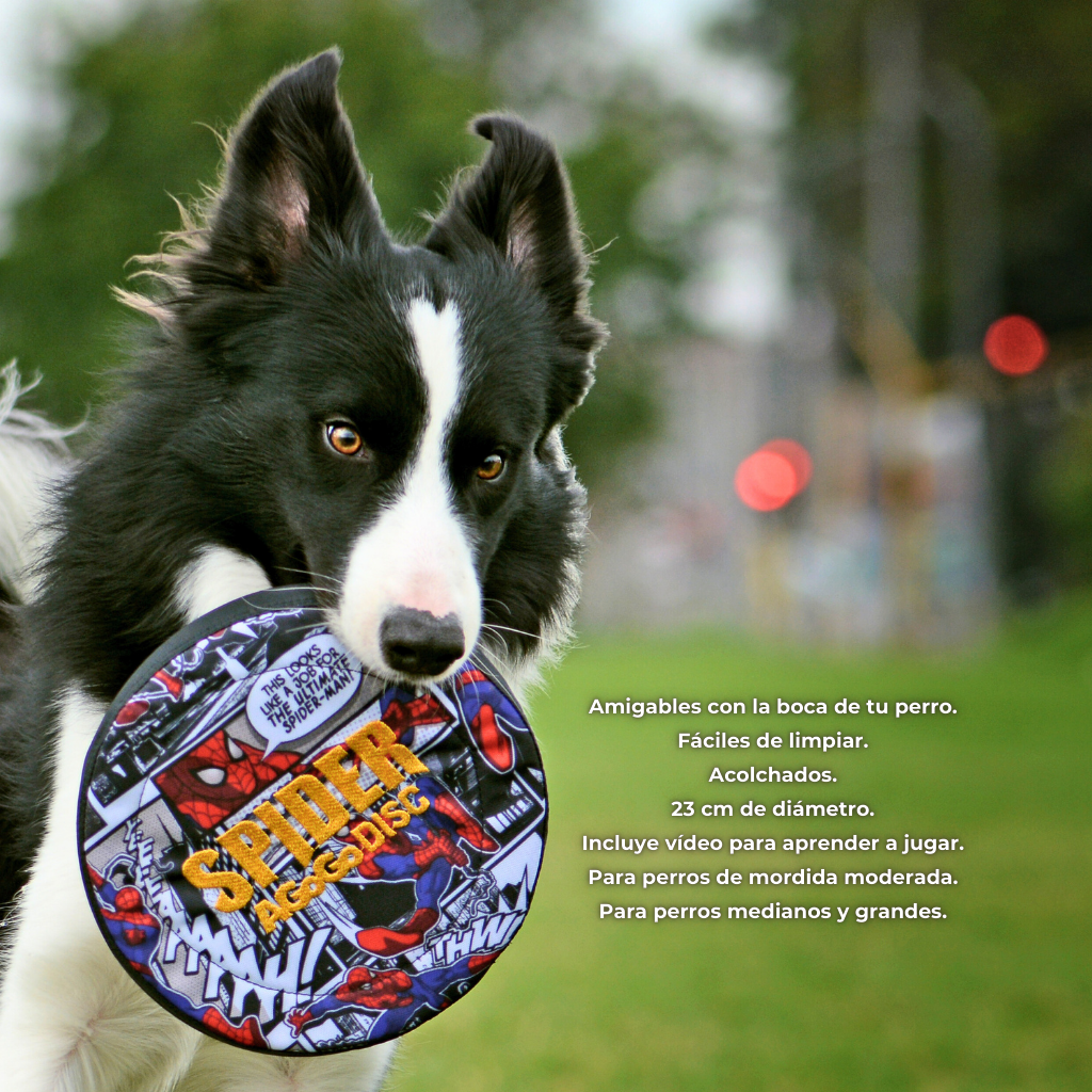 spider frisbee para perro de edición limitada