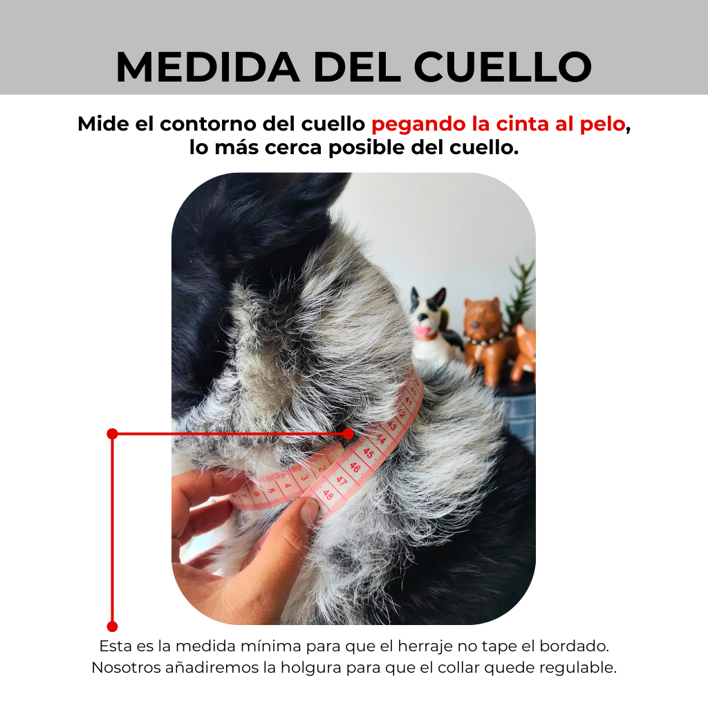 medida del cuello