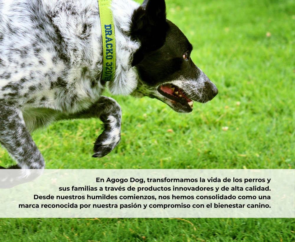 quienes somos