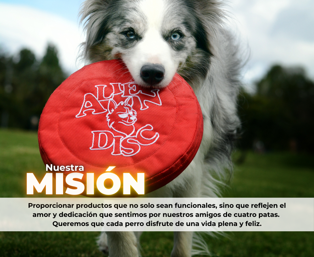 quienes somos