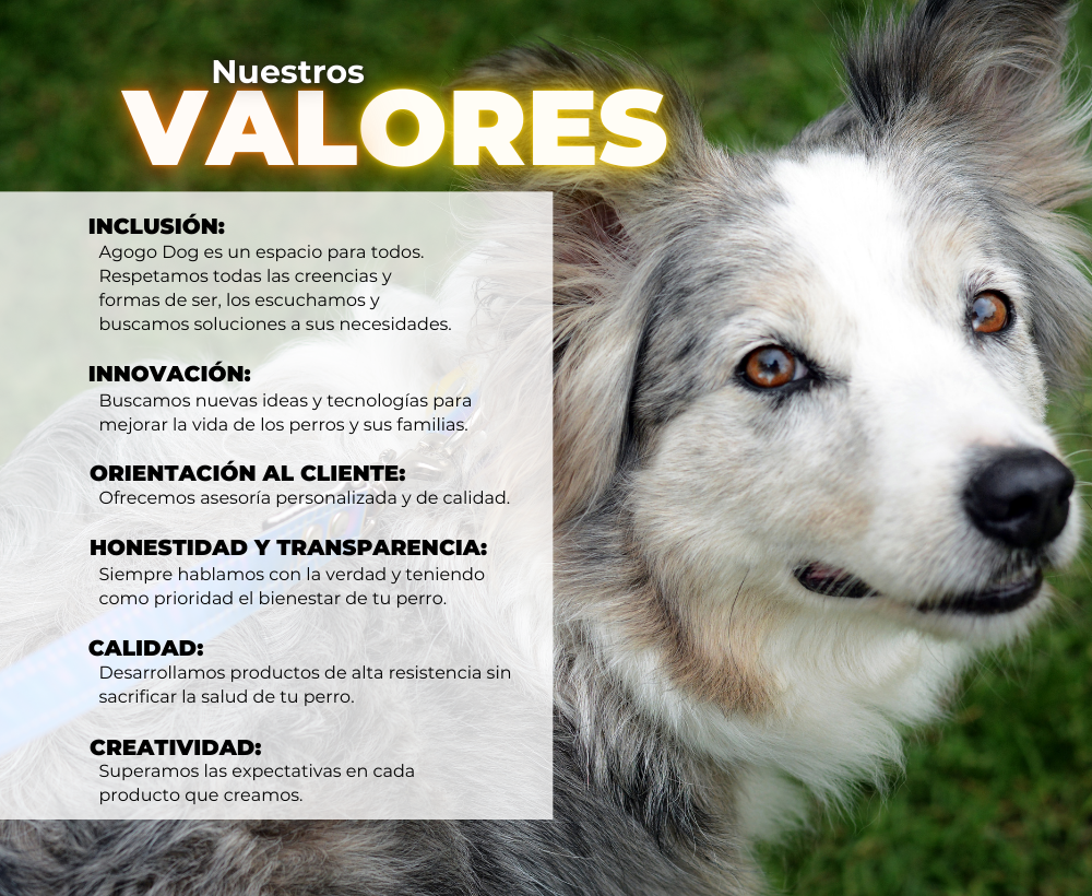 quienes somos