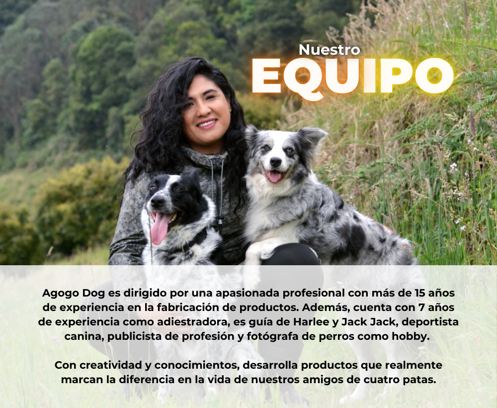 quienes somos