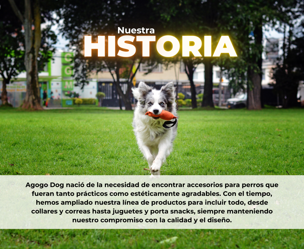 quienes somos